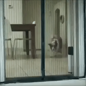 Magnetic Mesh Screen Door