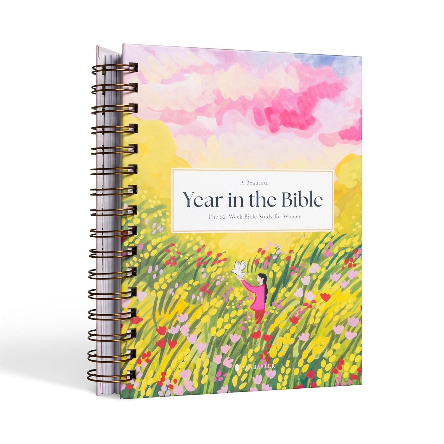 The Perfect Christian Gift – 52-Week Bible Study for Women