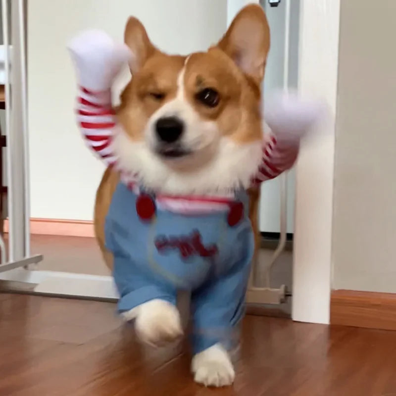 Elite™ Chucky Dog Costume